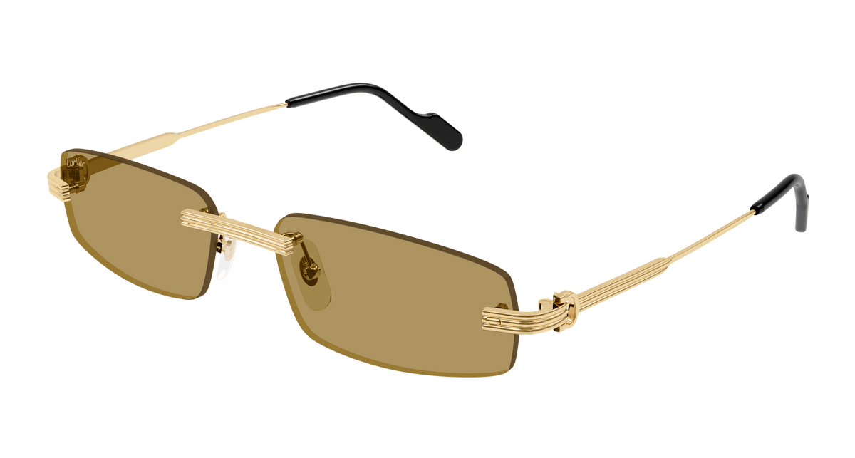 Cartier CT0535S Sunglasses - Gold / Brown (003)