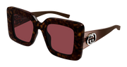 Gucci GG2025S Sunglasses - Havana / Red (002)
