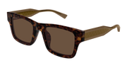 Gucci GG2072SA Sunglasses - Havana / Brown (003)