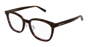 Saint Laurent SL 917/F Eyeglasses - Havana / Transparent (002)