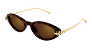 Cartier CT0634S Sunglasses - Havana / Brown (002)