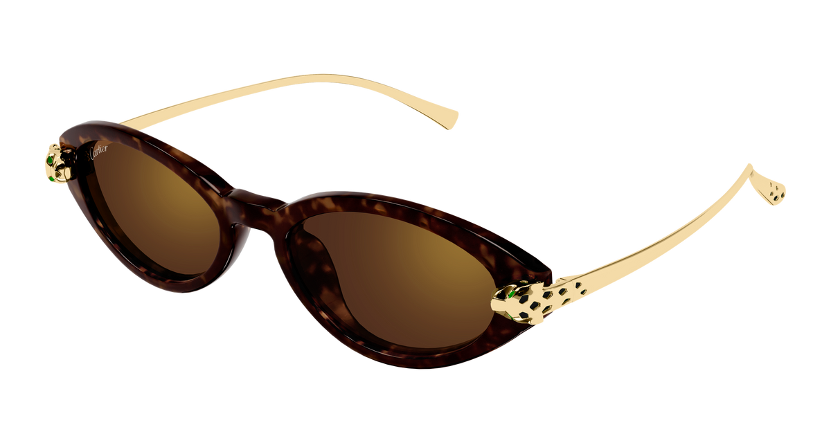 Cartier CT0634S Sunglasses - Havana / Brown (002)