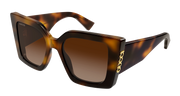Gucci GG2039S Sunglasses - Havana / Brown (002)