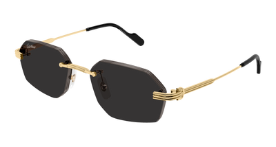Cartier CT0616S