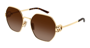 Gucci GG2046S Sunglasses - Gold / Brown (003)