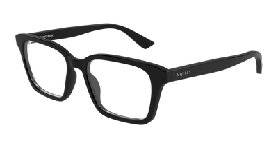 Alexander McQueen AM0566O