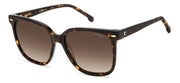 Carrera CARRERA 3002/S - 086HA HVN