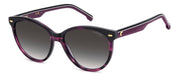 Carrera CA 3084/S/US - 7FF9O VLT HRN
