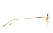 DITA CEREBAL Optical image 14