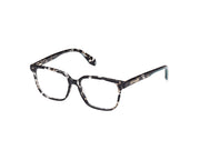 Adidas Originals OR5056 OR5056 056 - Black/Havana/Black / Havana - Lens: Havana