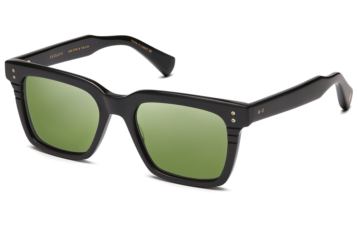 DITA SEQUOIA Sunglasses image 3