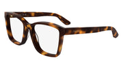 CALVIN KLEIN CK25516 (240) HAVANA 54-18-145