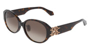 FERRAGAMO SF2091SELB (242) DARK TORTOISE 55-16-140