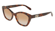 FERRAGAMO SF2119S (240) TORTOISE 55-18-145