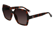 CALVIN KLEIN JEANS 59454 (240) TORTOISE 55-18-140