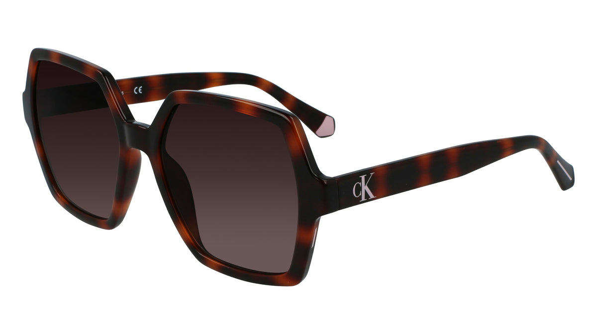 CALVIN KLEIN JEANS 59454 (240) TORTOISE 55-18-140