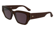 LACOSTE L6053S (210) DARK BROWN 52-19-140