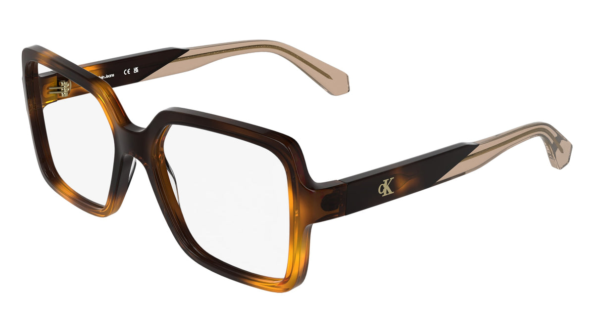 CALVIN KLEIN JEANS CKJ26613 (235) HAVANA 54-17-140