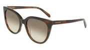 FERRAGAMO SF2101S (216) STRIPED BROWN 56-19-145