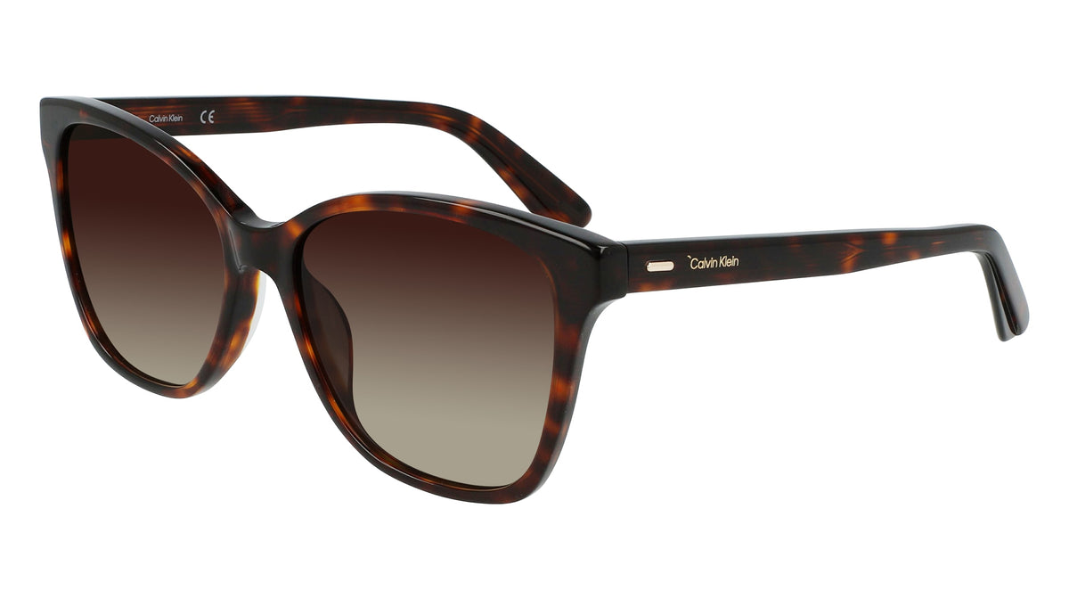 CALVIN KLEIN 59389 (220) BROWN HAVANA 55-16-140