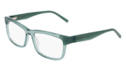 DKNY DK5083 (310) CRYSTAL SAGE 54-16-140