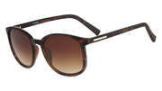 CK COLLECTION 28166 (206) TORTOISE 53-19-140