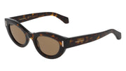 FERRAGAMO SF2062SE (242) DARK TORTOISE 49-23-145