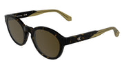 CALVIN KLEIN JEANS CKJ26604S (242) DARK HAVANA 51-21-145