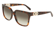 FERRAGAMO SF2109S (240) TORTOISE 58-16-145