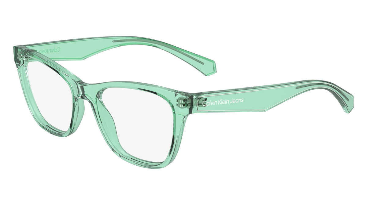 CALVIN KLEIN JEANS CKJ24304 (300) GREEN 47-15-135
