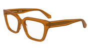 CALVIN KLEIN JEANS CKJ25609 (201) BROWN TO HAVANA 54-16-140