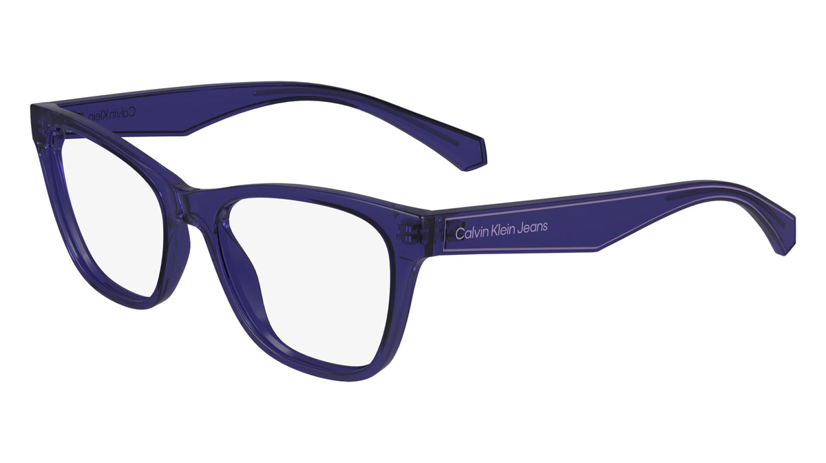 CALVIN KLEIN JEANS CKJ24304 (500) PURPLE 47-15-135